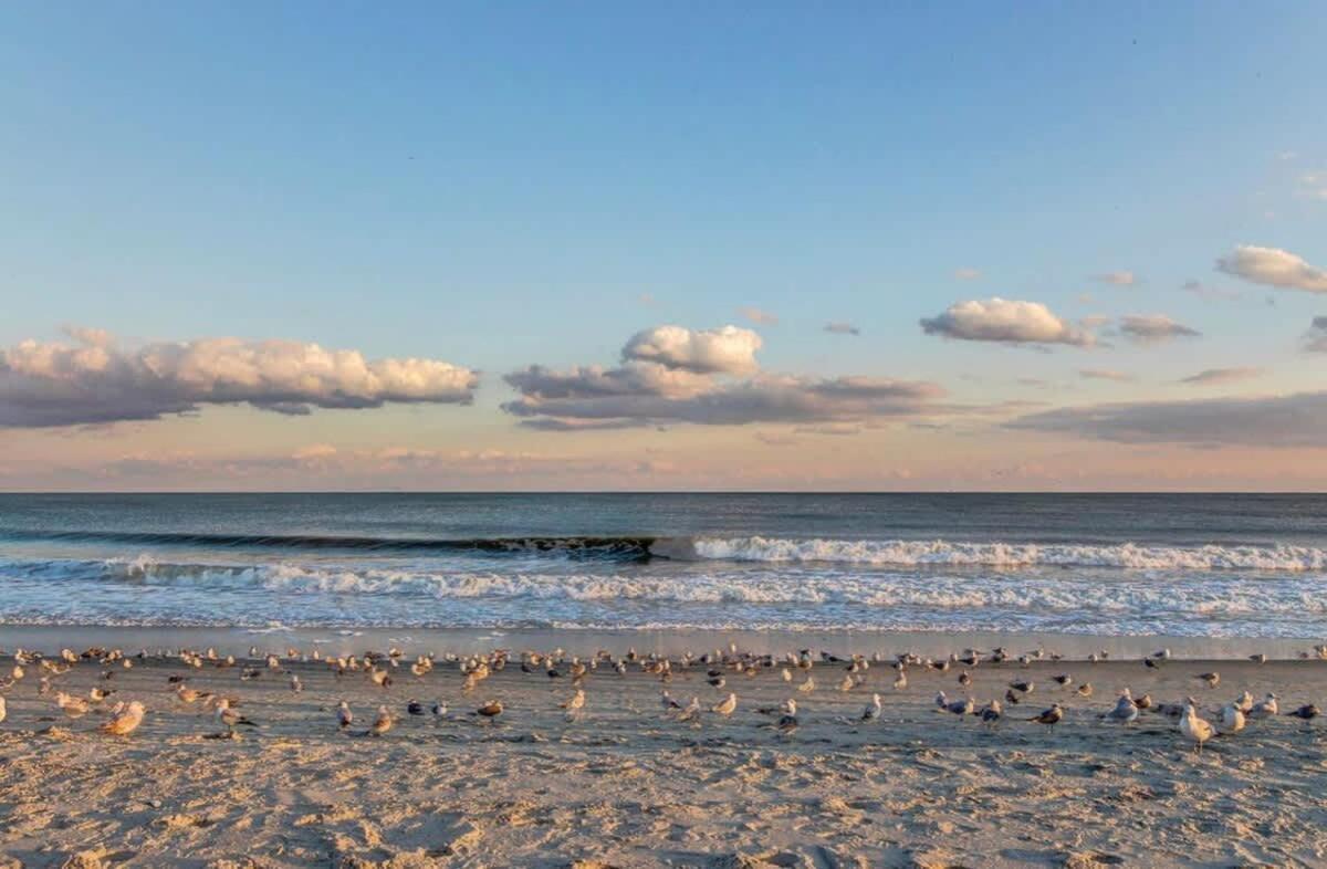 *Oceanfront Retreat*King Bed *Great Pools, Hot Tubs+++*O41 Villa Myrtle Beach Eksteriør bilde